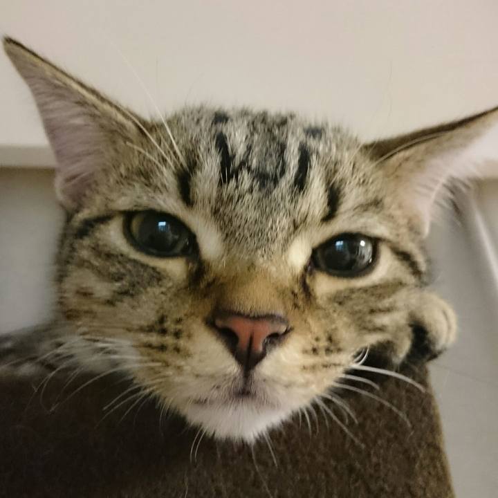 F2dbf4ce d07f 4be5 a8d0 26c57bee2424