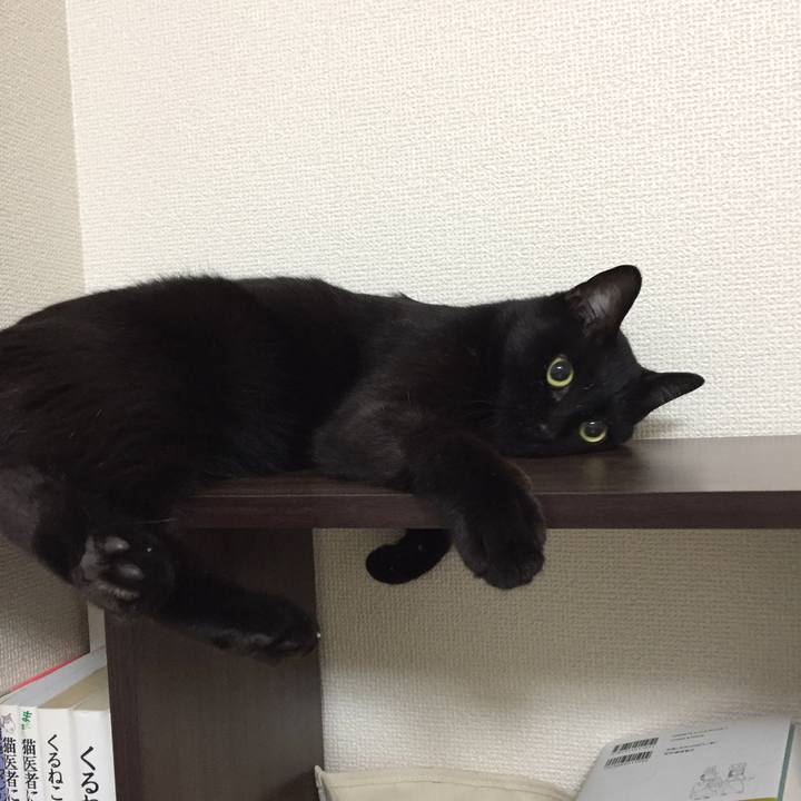 F2dc0076 e1e1 4ca0 b9f2 42ba663b4015