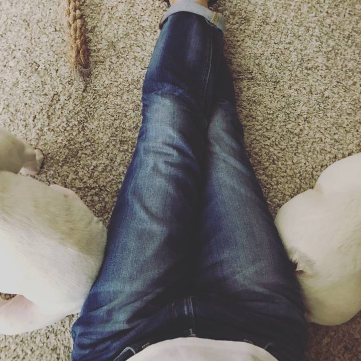 F2dc057a 7da7 4a1e a854 d3f9534e28a6