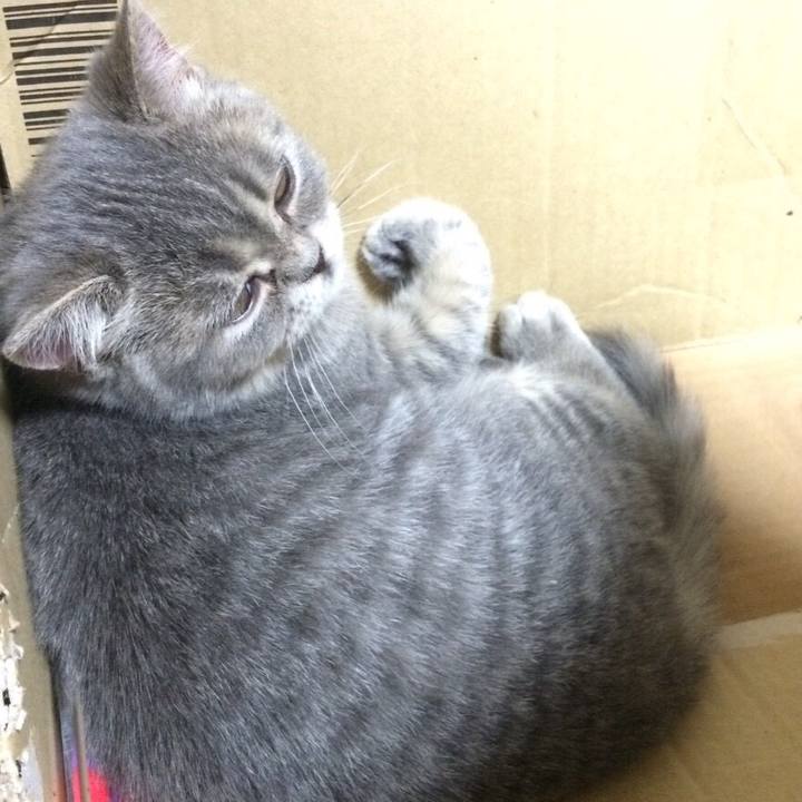 F2dc14cd dcfa 4509 80ad 1dc3ed4779bc