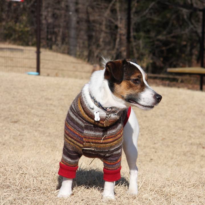 F2dc14fa 8c55 4696 97d3 ebe1004d1582