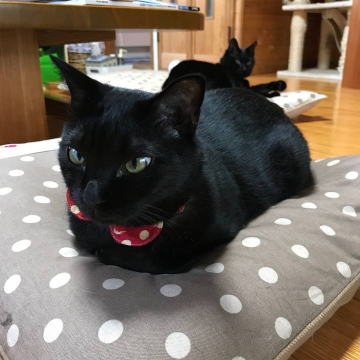 F2dc24cc 4430 46d3 ba53 f405c1f863fc