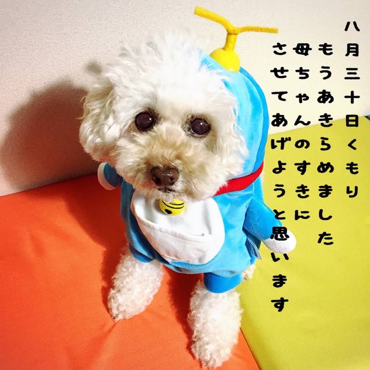 F2dc5157 187f 4a6c 878a 0bee52ee84b0