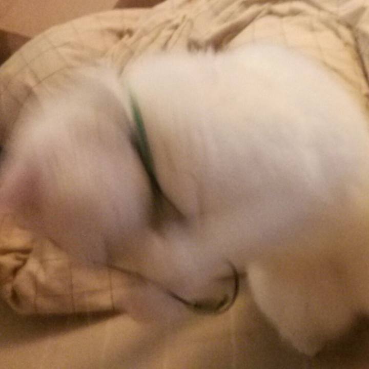 F2dca527 9e3a 4298 b963 cab4cf5caa29