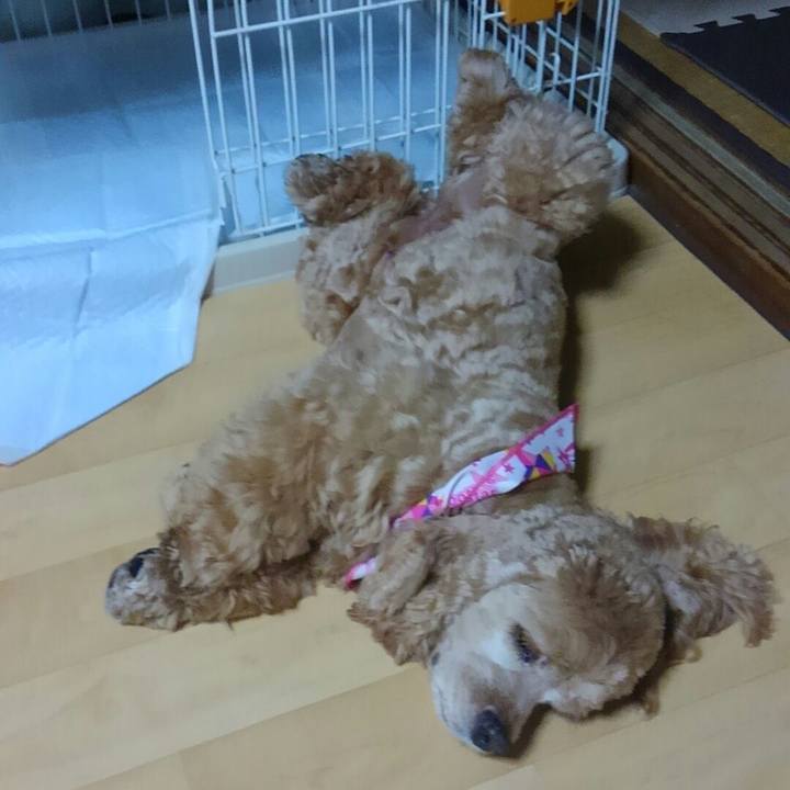 F2dcb531 8f1d 4032 9f95 58227bd3b3d3