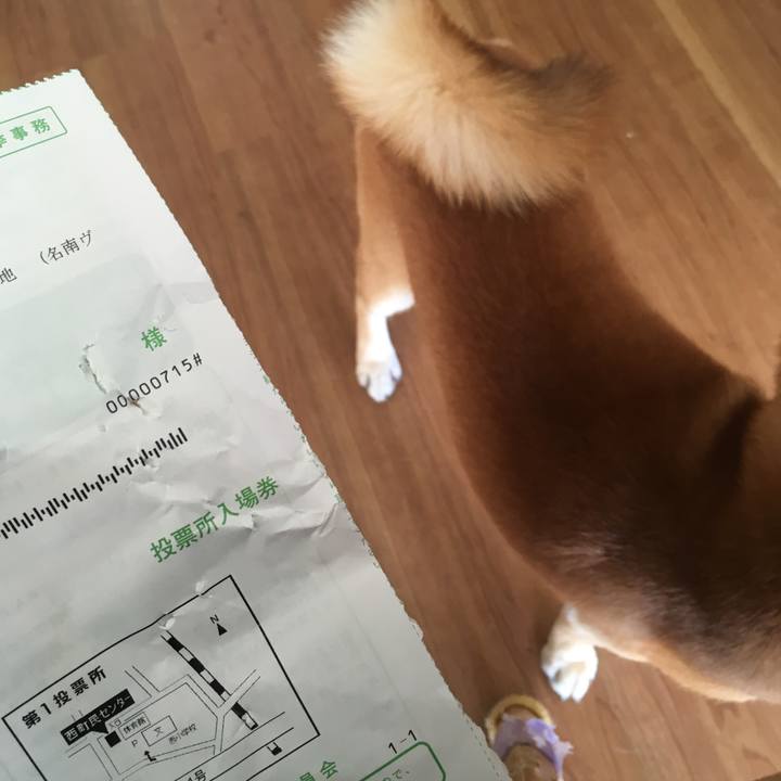 F2dce099 2538 4cea a57d 9878811b9670