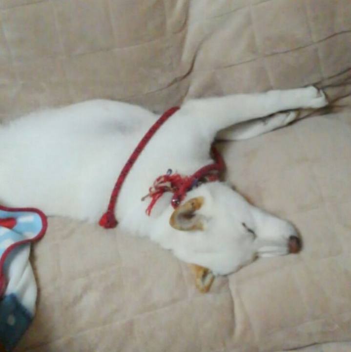 F2dd7b37 d46b 461c 8427 971b51762789