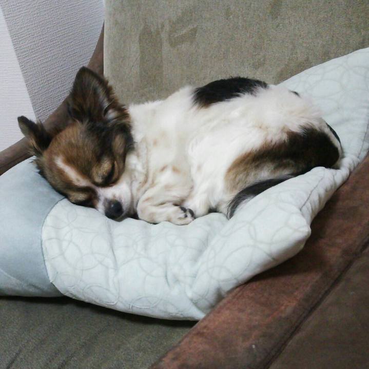 F2de04a8 21e1 4f98 ad27 3d1eb979c758