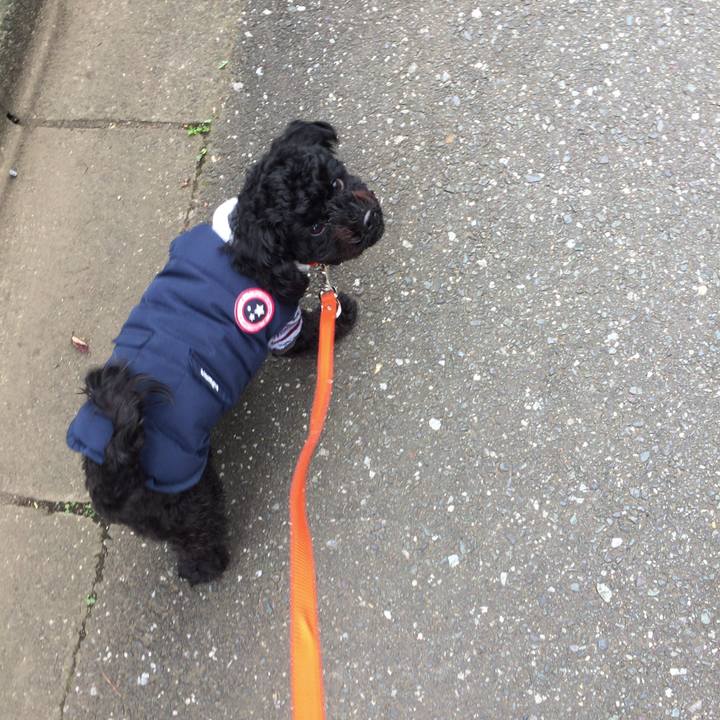 F2de4197 be54 49f6 bc59 f95c2b6e8f9a