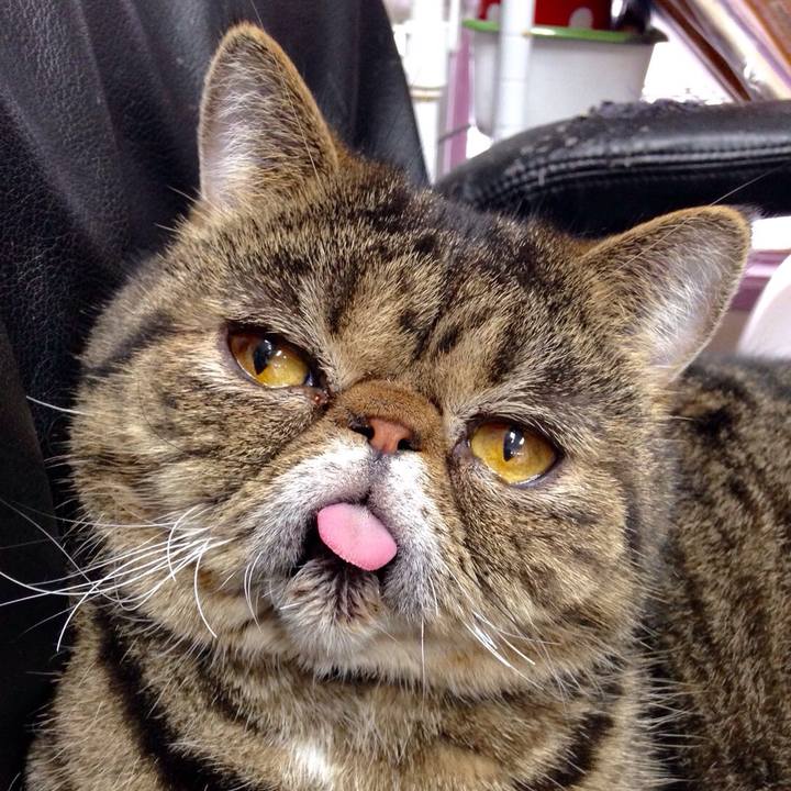 F2df62c8 3516 4a9a 9846 27d8837220c9