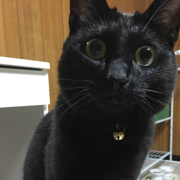 F2dff045 9da4 47e1 8ad7 288e3accbf4f