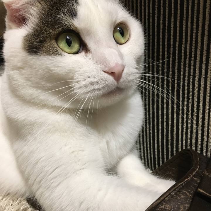 F2e22272 3d34 416e 99f4 278db4deba61