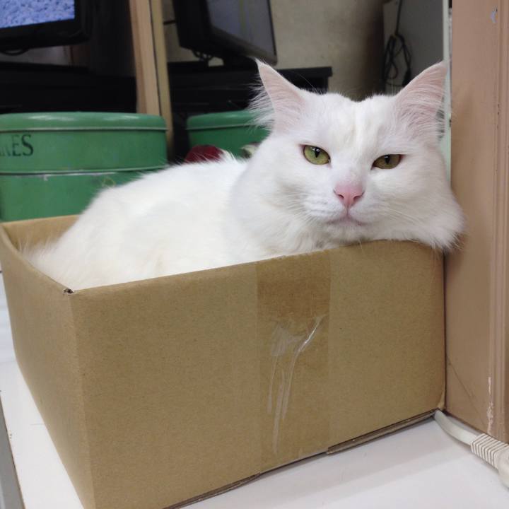 F2e26f41 664c 48cb 8fef 1b22aa401903