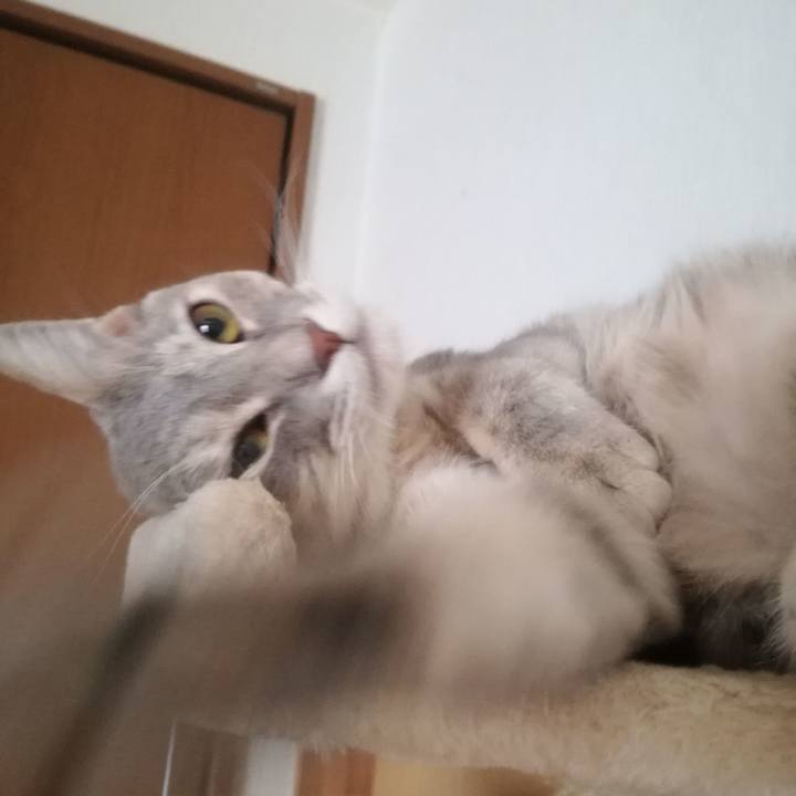 F2e2716d 02d5 4978 8ae1 89d14ab1adaf