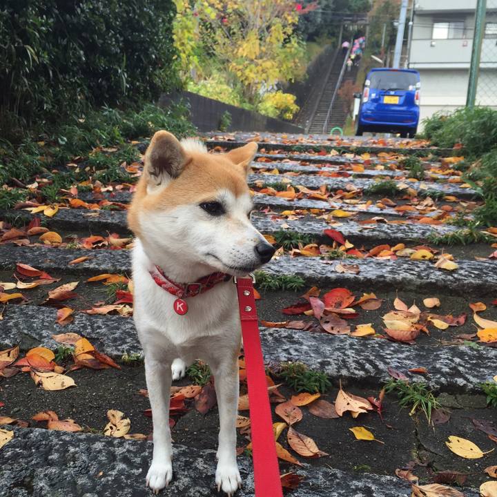 F2e3309f 5677 4186 a4f8 17e0c1295356