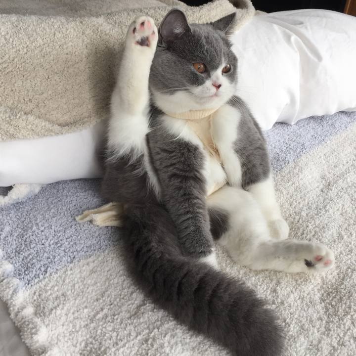 F2e3e1bd 33ae 4a2a b5df f31938fdcff2