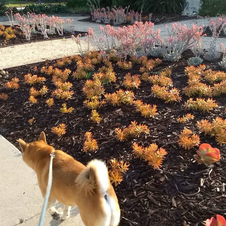 F2e40860 d227 4765 9755 7a3bece1b897