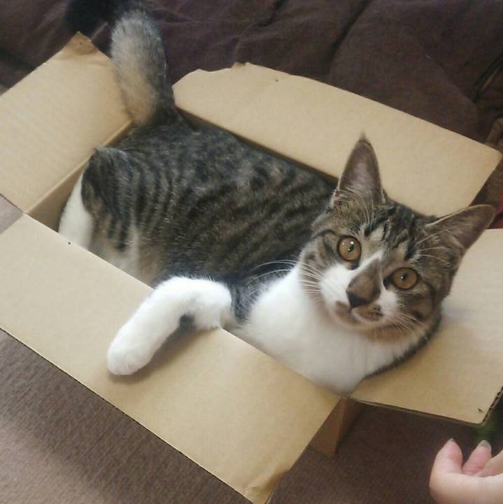 F2e430a2 33d6 4d68 a509 d165eae131ee