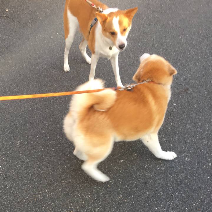 F2e4d6c4 3e2b 4b77 ba22 af29f714211c