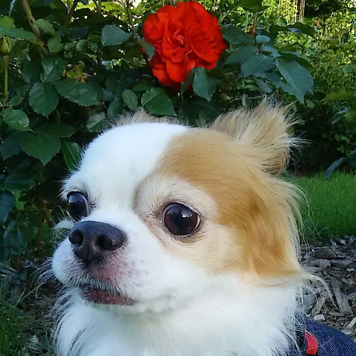 F2e4f552 694b 4b48 b648 bdef1682ec8b