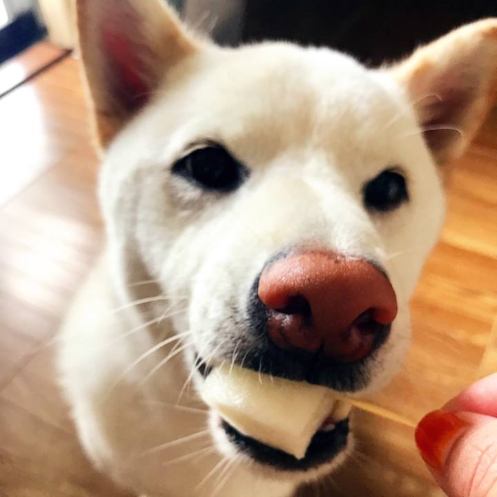 F2e51bb6 6c6e 4ef5 8357 a575667afca0