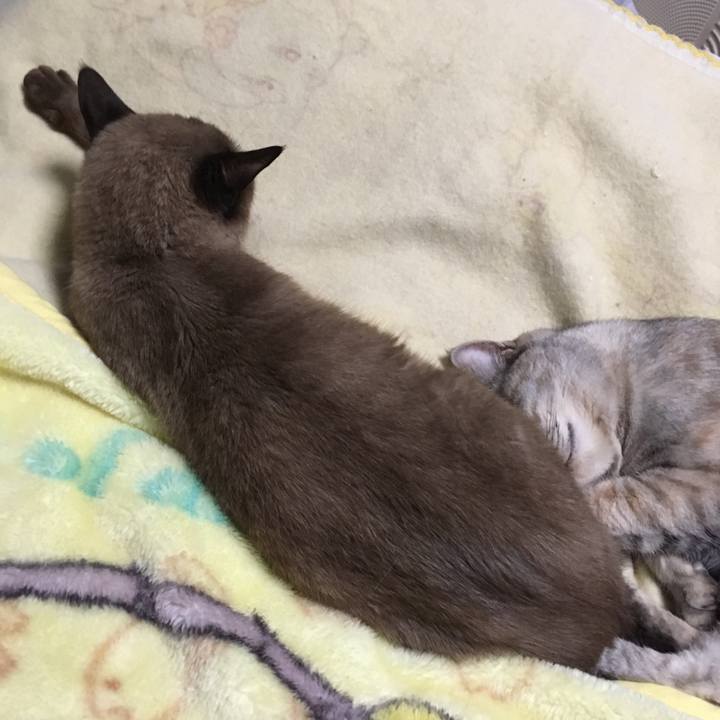 F2e536ea 63ff 45cd 8614 7ebcc722bccb