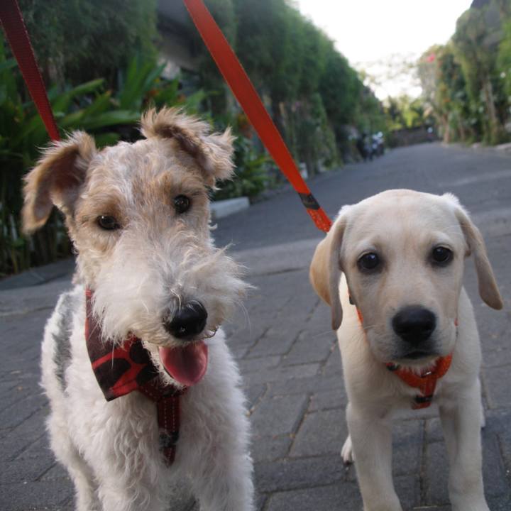 F2e56c9c c987 47fe b94b f18489db29f0