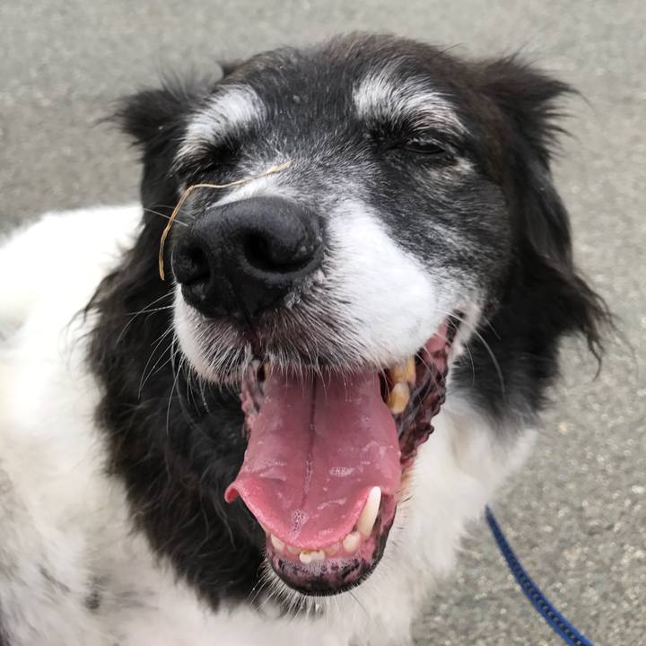 F2e58b68 7c98 479b 9730 35b826c00fa2