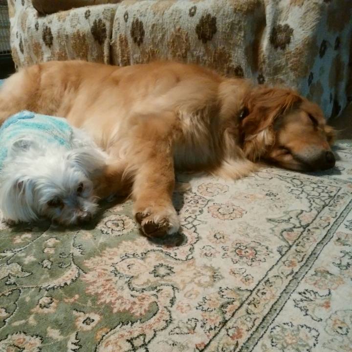 F2e5b1d5 a4a8 4c7f ba09 189d5eb38152