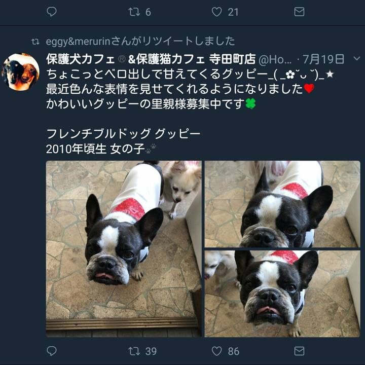 F2e632d7 5d62 4c69 b9d3 2935cc0d8b87