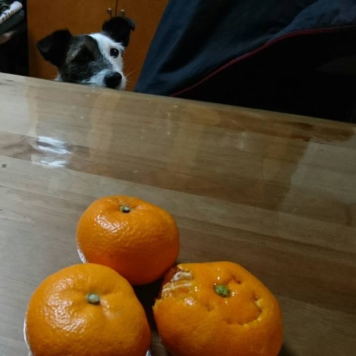 F2e63840 5d24 436c 9ec3 7bc61b32b2ce