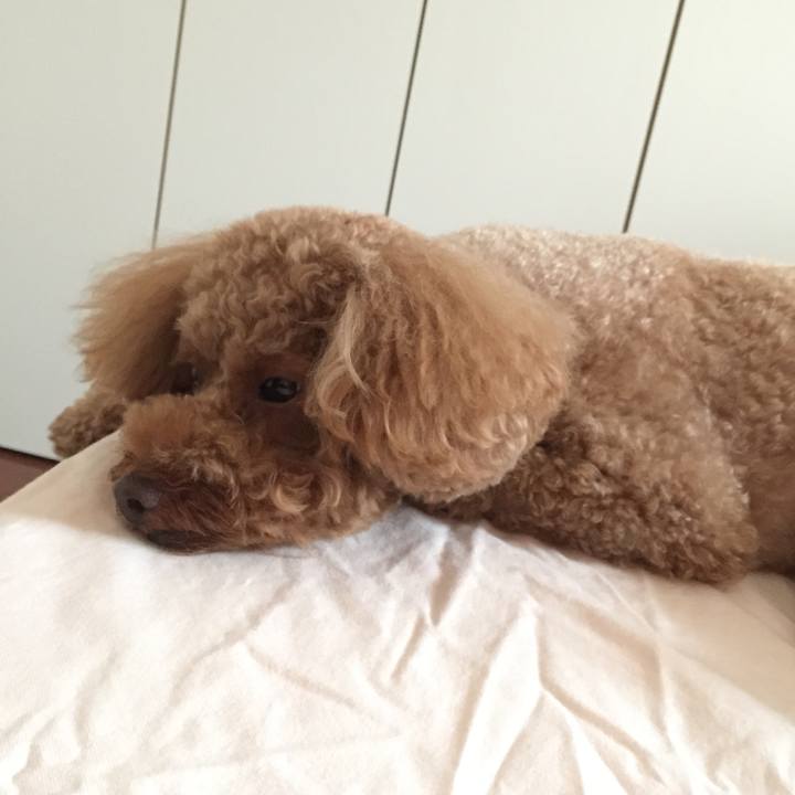 F2e646f2 089a 41a9 a886 9e3d6678ad9a