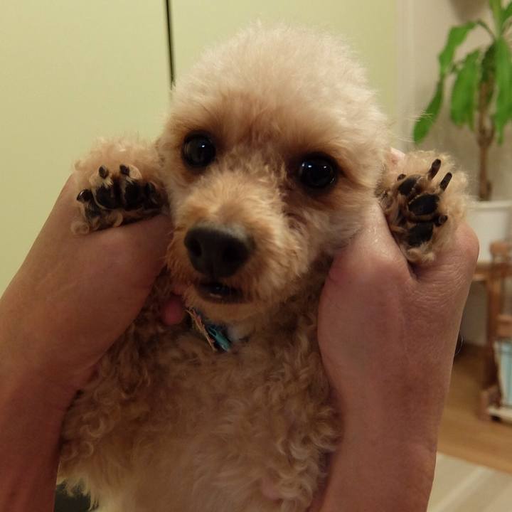 F2e67f8f 94a5 4c7c b681 f684e09209e0