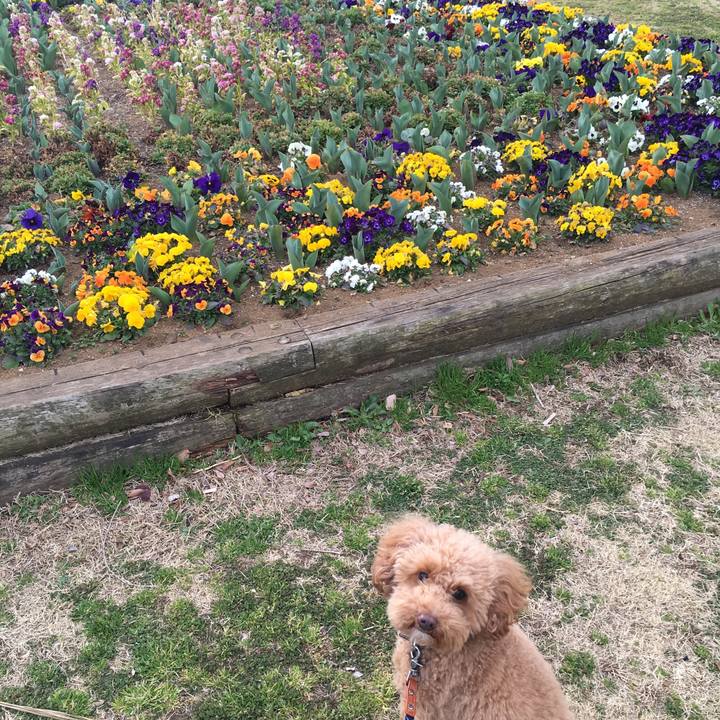 F2e68611 f93a 44ad a7dd 6ce370875039