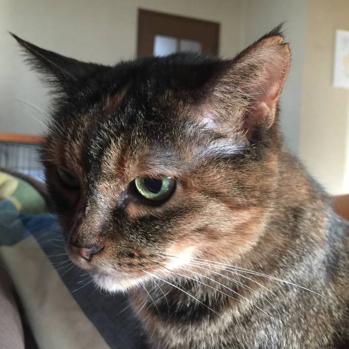 F2e69566 cbcc 4c61 bf57 6e9cadae62ce