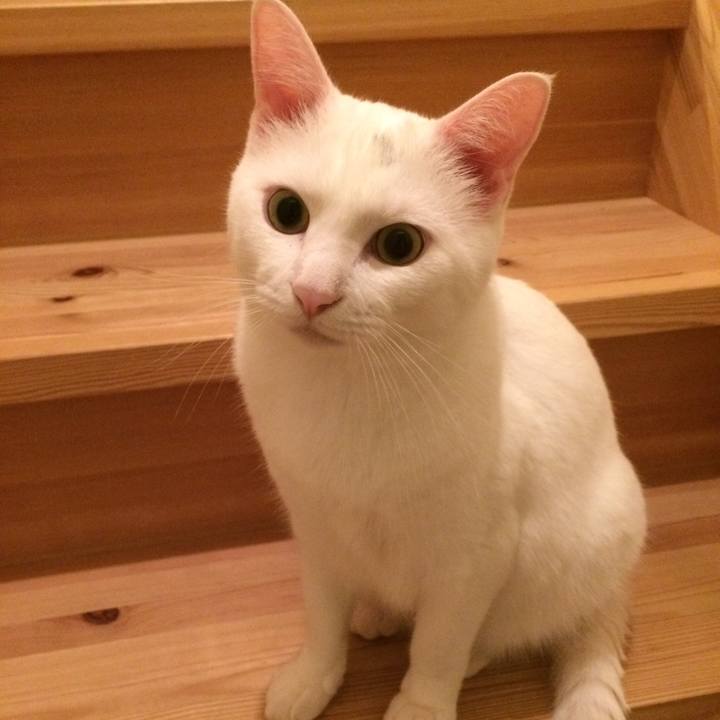 F2e6e55a 03a7 41a6 8c6b 55a684f52383