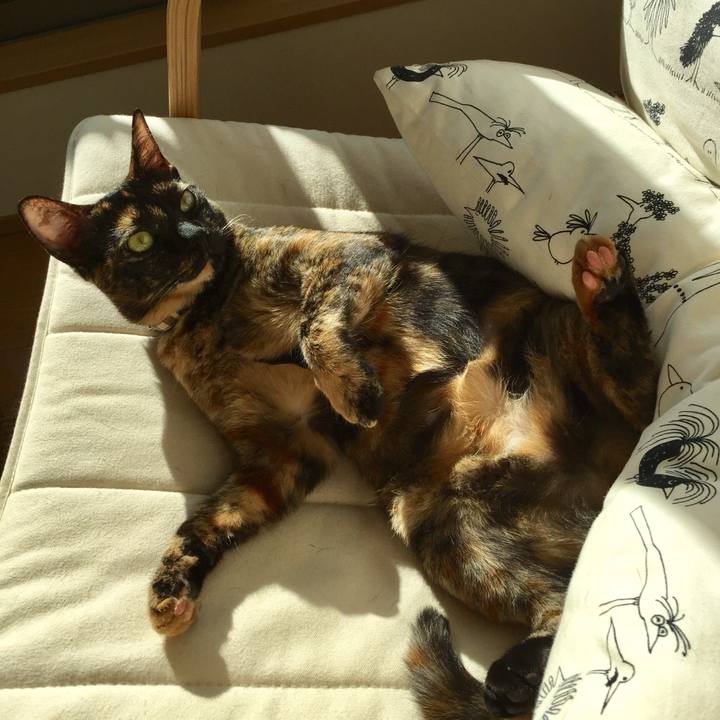 F2e74152 7bdf 4a0f 8990 2528a6a3c1d7