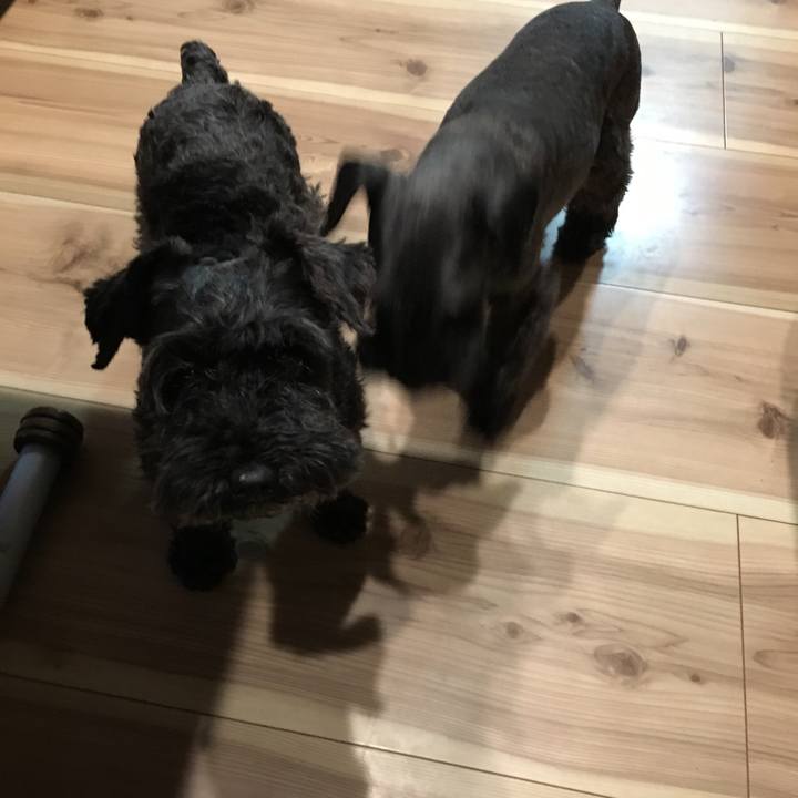 F2e861a3 fe86 43ea b456 20c2df1904fc