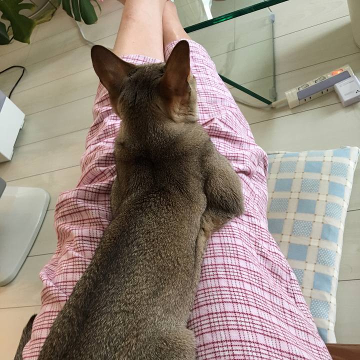 F2e8c1e1 84f1 4a43 bb39 7defefdec85e