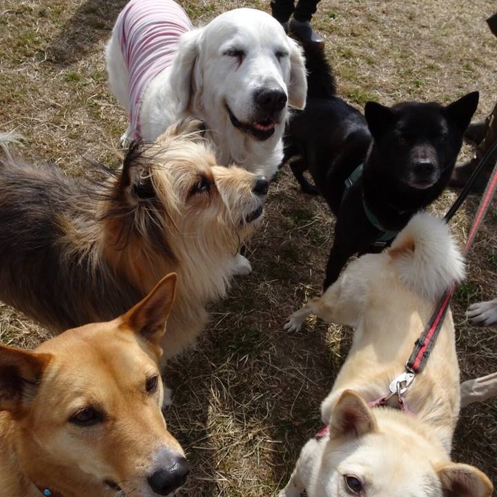 F2e9406e 27b6 40f0 90e9 1d99c1e1eaa5