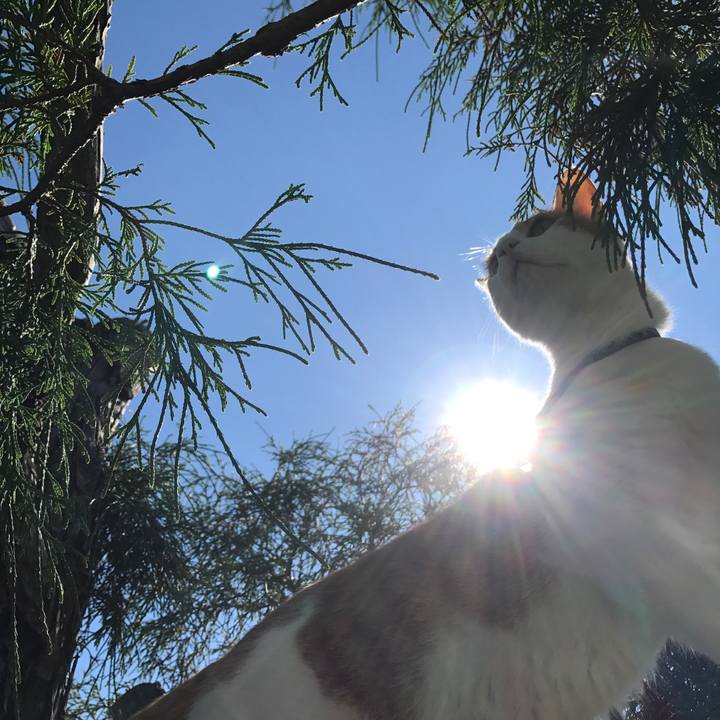 F2e99429 0856 48fb 9783 66337e5d8052