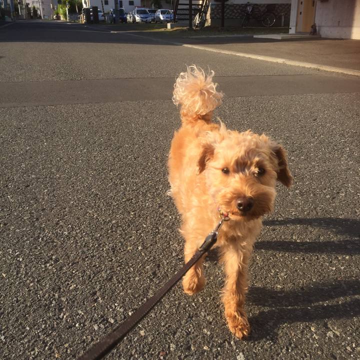 F2e9a33f e827 46b2 9f48 47616262ed26