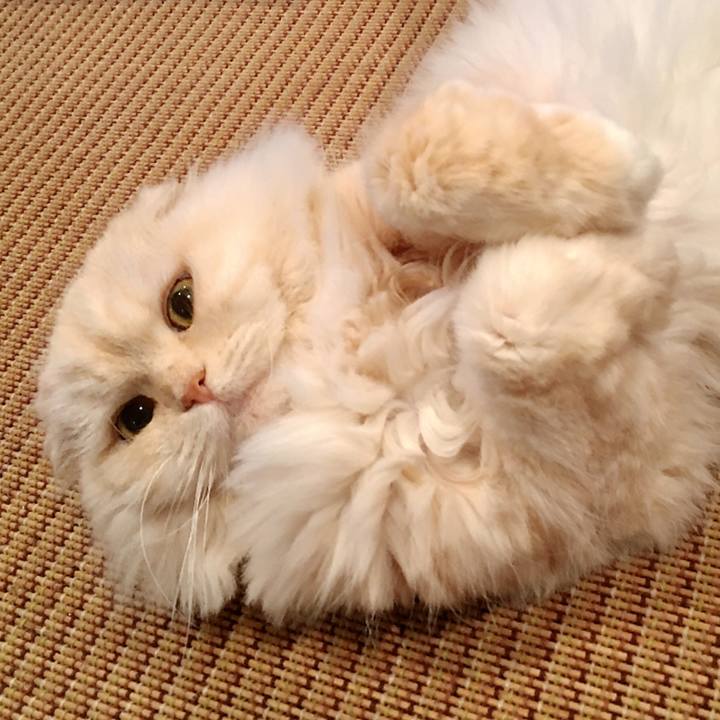 F2eaba9a 5579 46f5 95b7 f8ad5abe51ab