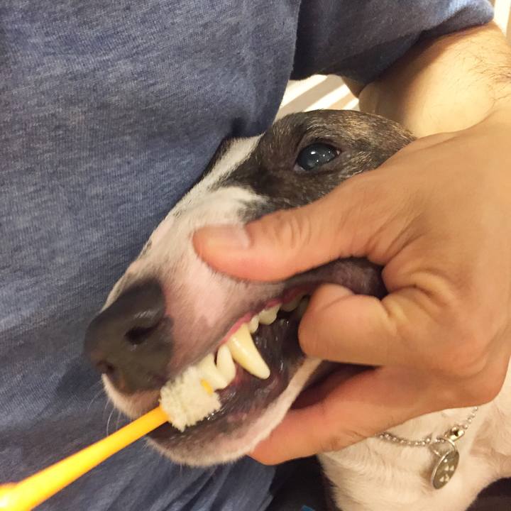 F2eb1fe1 d7d7 4876 8ee3 6612c92f3811