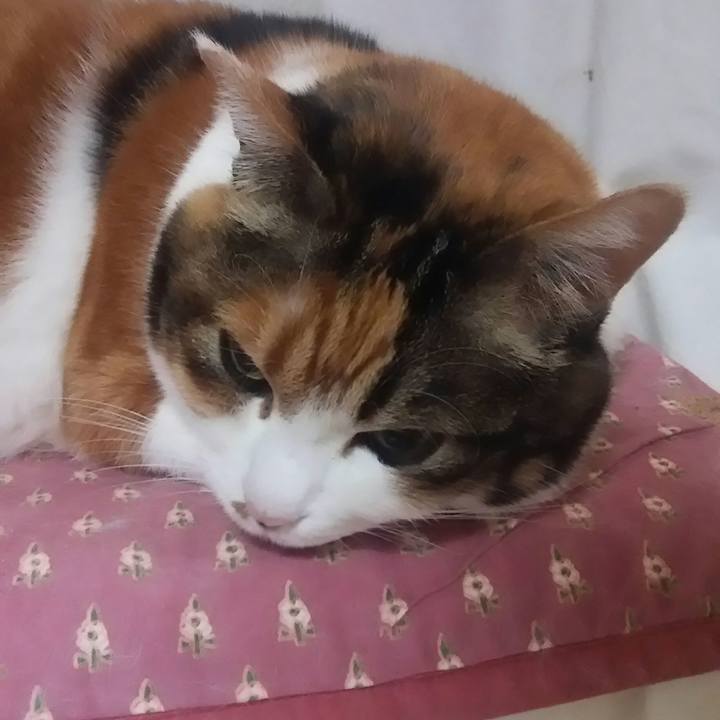 F2eb2a40 1033 44d0 a383 3cf200aae5d9