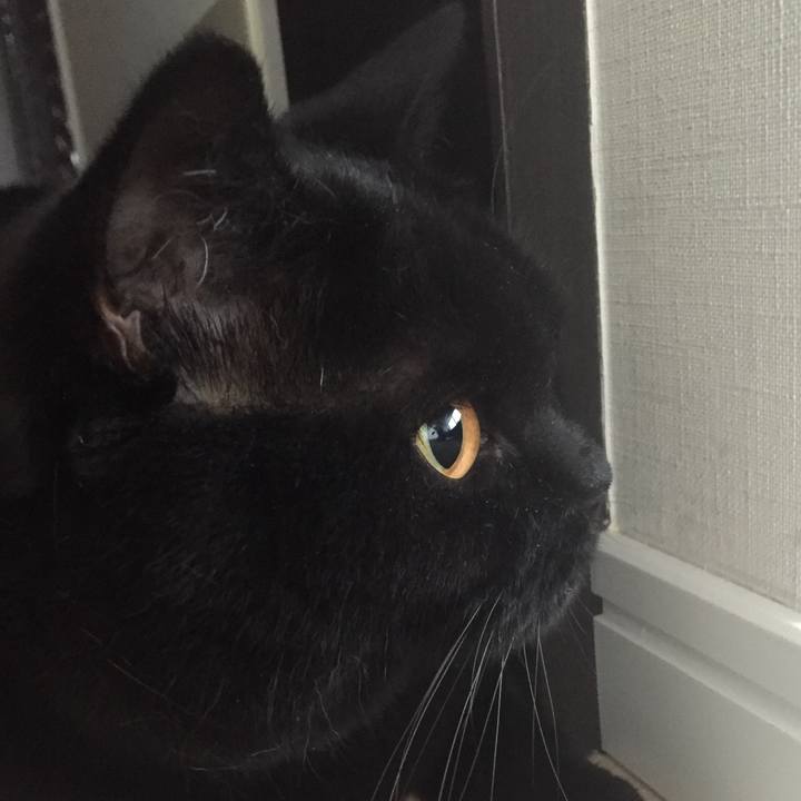 F2eb52cd f20a 4062 a87a d3a86db2ab08