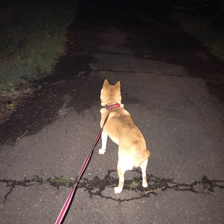 F2eba59d 8d15 4330 81a8 d29f42ad383c