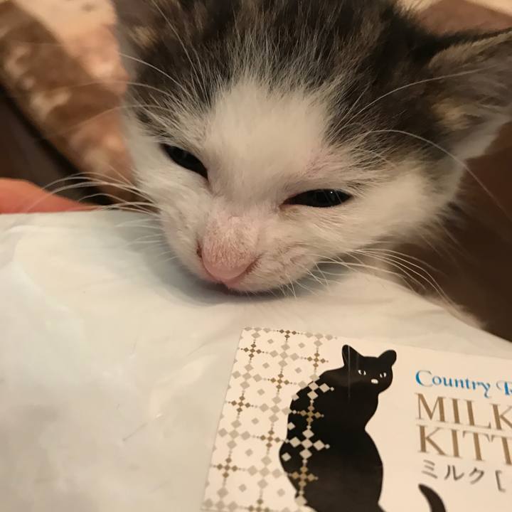 F2ebe145 ebf5 4b86 8e99 30e1b341fbcb