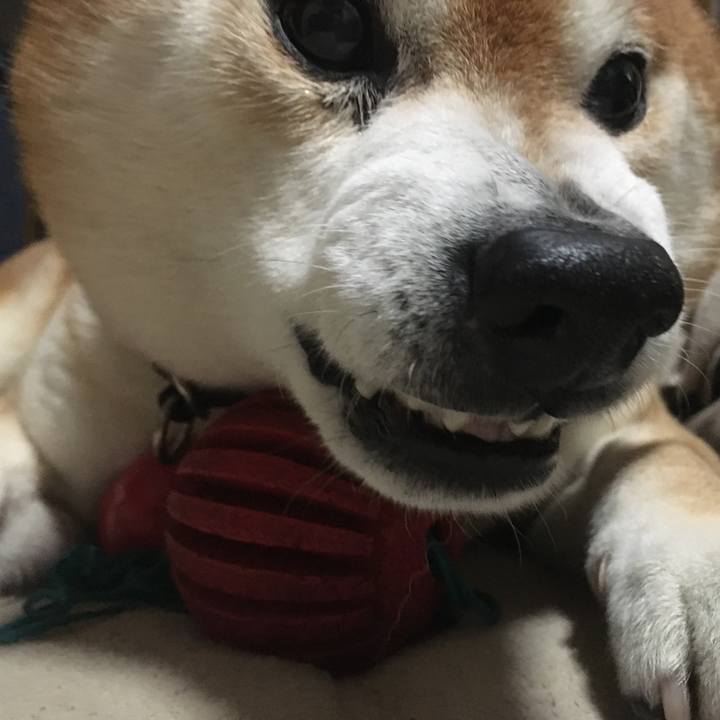 F2ebe92c dd9f 4065 9a7f bfccda760635