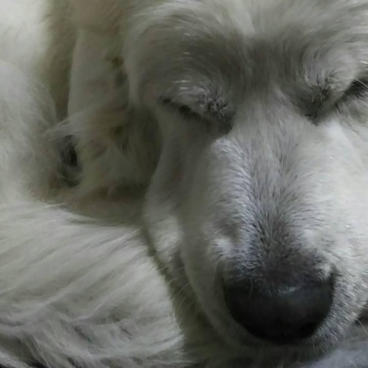 F2ebf0db c4d9 4824 94ed 49ca3c85b277